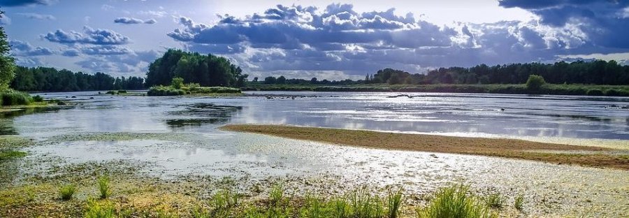 la loire Andrezieux Bouthéon