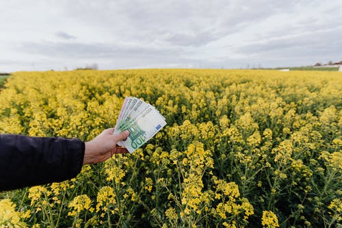 obtenir de la trésorerie supplémentaire